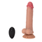 Splashrod  Remote Control Vibrator 8.8''