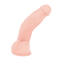 Dildo Darius Flesh